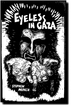 Eyeless In Gaza Stephen Minch