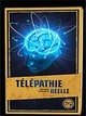 Thélépathie Réelle Patrick Froment
